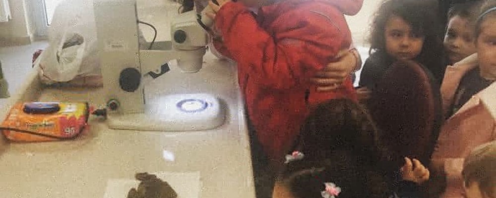 Giresun üniversitesi kimya laboratuvarını ziyaret ettik